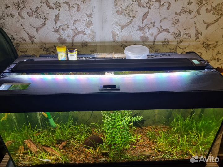 Аквариум с рыбками