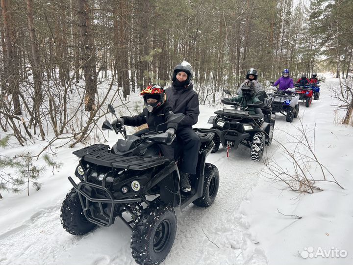 Лесные прогулки на мототехнике (квадроциклы)