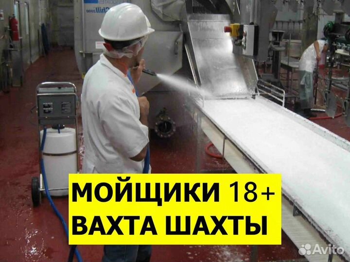 Вахта мойщик / Цех фасовки индейки / Шахты