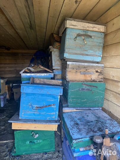Продам ульи для пчел