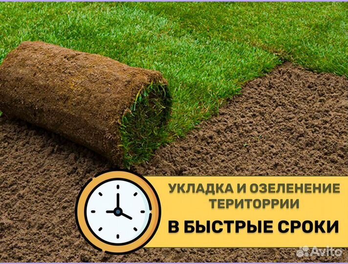 Рулонный газон доставка спортивный