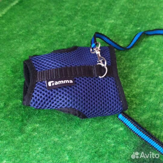 Поводок для крыски