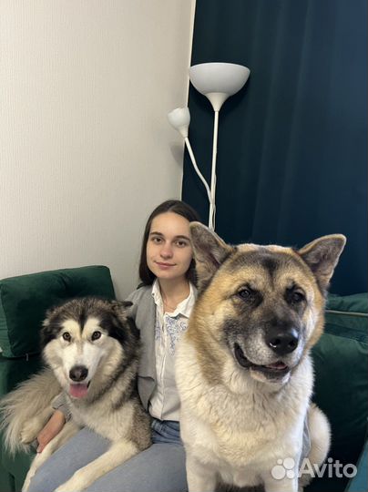 Консультация психолога