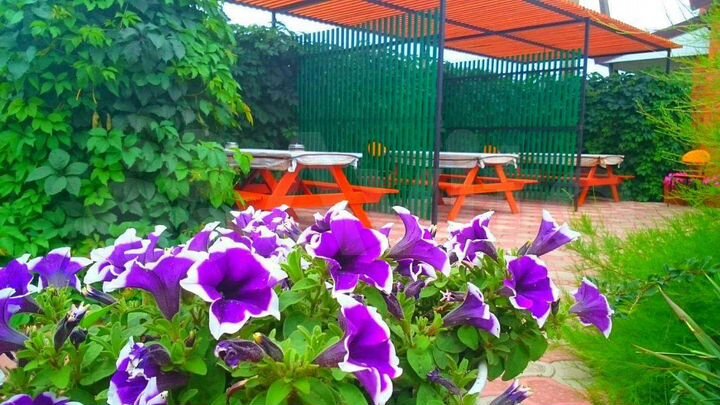 Дом 36 м² на участке 14 сот.