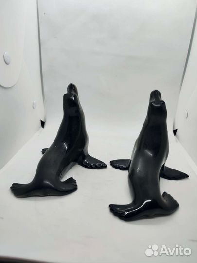 Пара Тюленей, лфз