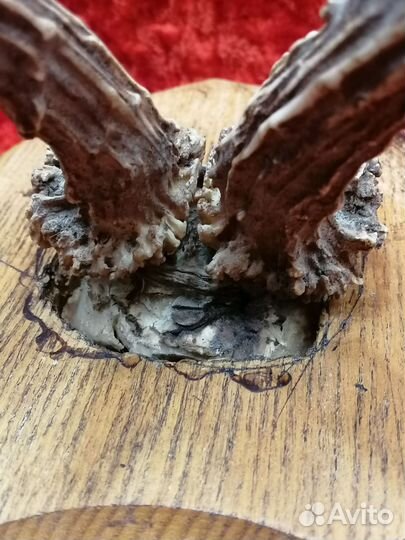 Настенное панно 