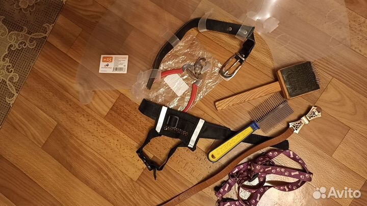 Намордник, расчёски, когтерез и т. Д