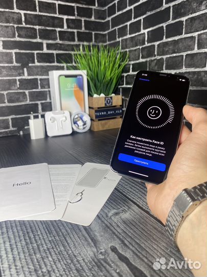 iPhone X, 256 ГБ