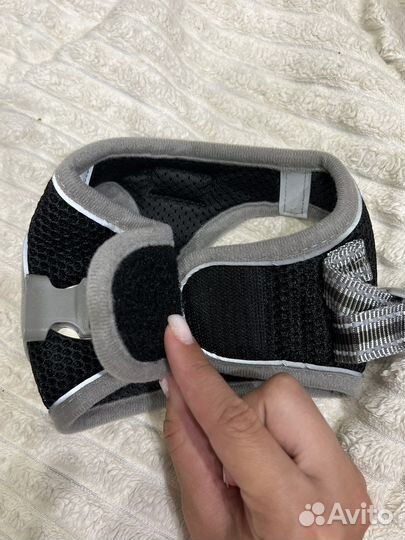 Шлейка для маленькой собаки