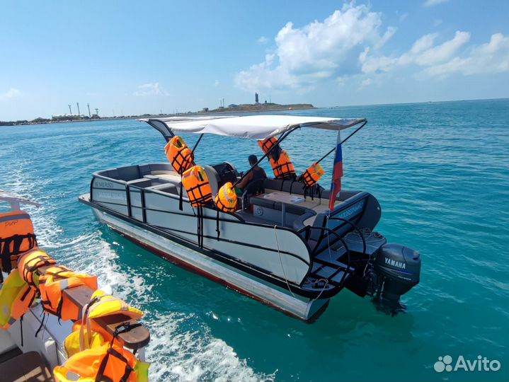 Катера и яхты