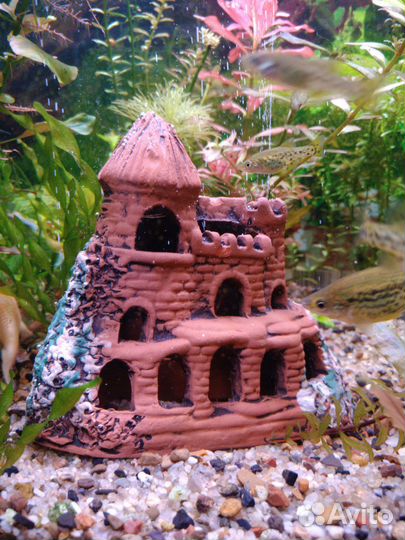 Коряги для аквариума, замок