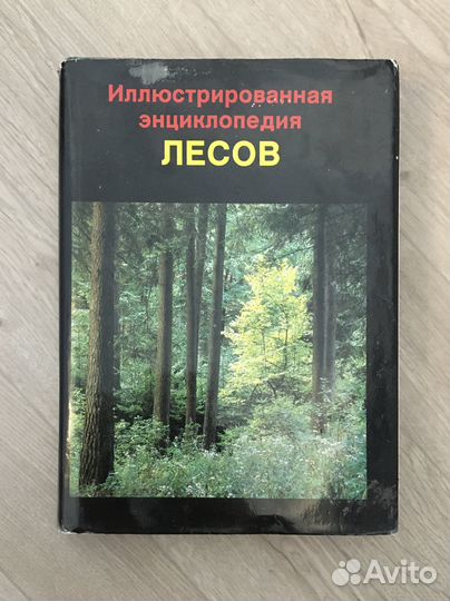 Иллюстрированная энциклопедия лесов