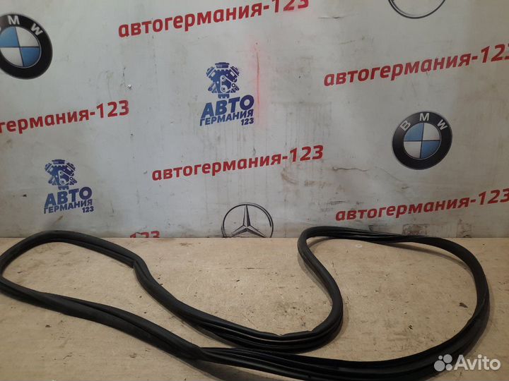 Уплотнитель двери передний правый Bmw X5 E70