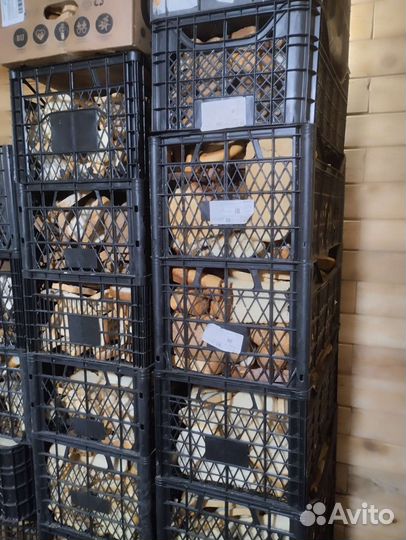 Сухари для корма с/х животных