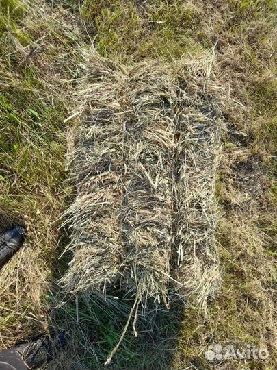 Сено в тюках