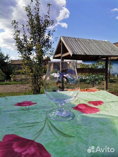 Пивные стаканы 6 Портер