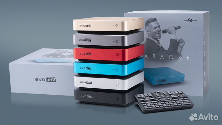Караоке комплект с Evobox Plus до 45 кв.м
