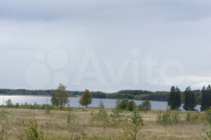 Участок 25 сот. (СНТ, ДНП)
