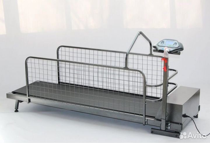 Беговая дорожка для собак