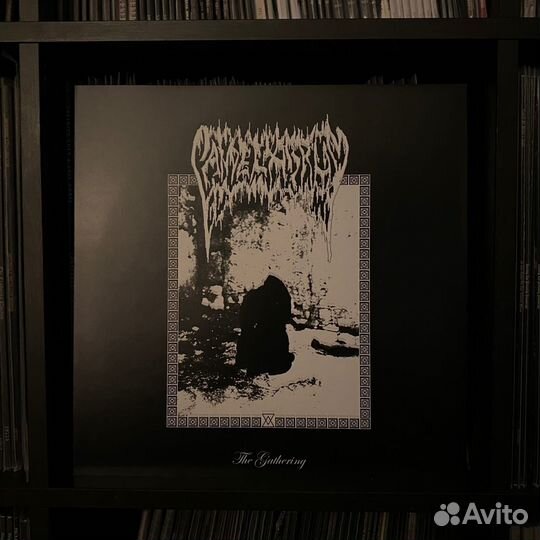 Raw/Symphonic/Atmospheric Black Metal винил