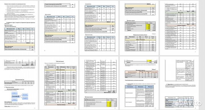 Бизнес-план для соцконтракта