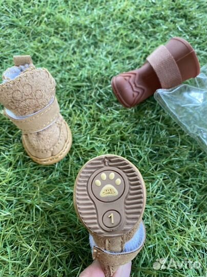 Обувь для маленьких собак