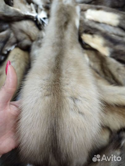 Куница шкуры