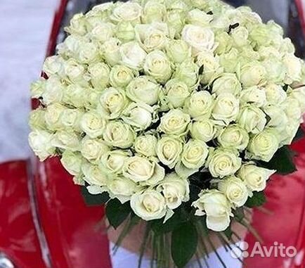 101 Роза Цветы Букеты 51 25 Роз Доставка