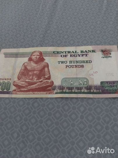 Хобби и отдых