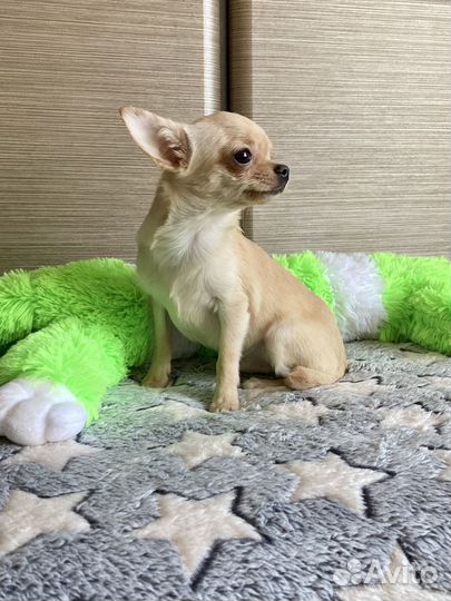 Замечательный мальчик