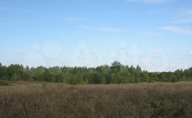 Участок 55 сот. (ИЖС)