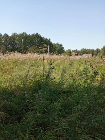 Участок 25 сот. (ИЖС)