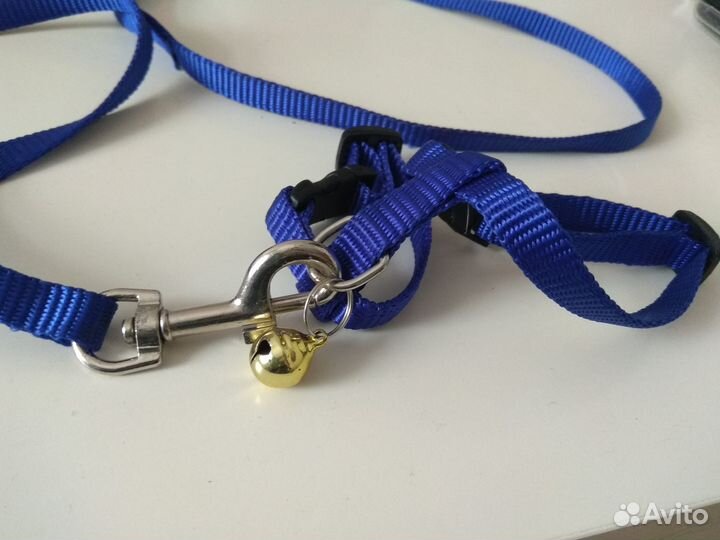 Шлейки для хорька