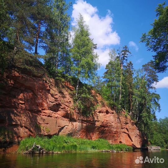 Прогулка/сплав по реке Оредеж на Sup досках