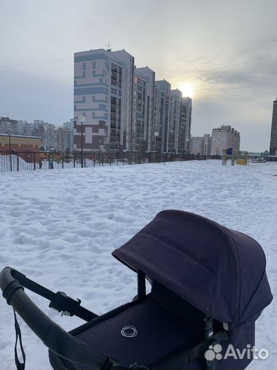 Коляска bugaboo buffalo 2 в 1