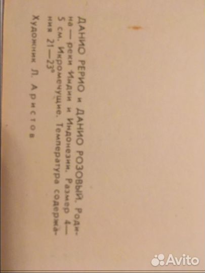 Две открытки с рыбками Л. Аристов