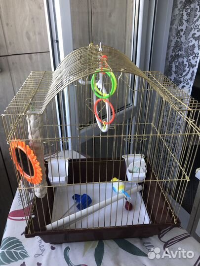 Клетка для попугая
