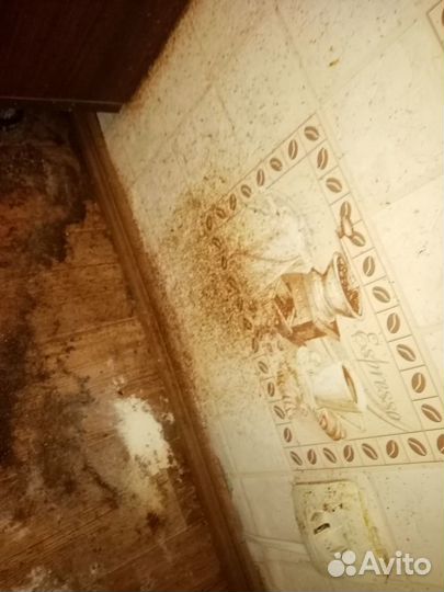 Профессиональный клинер