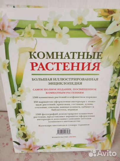 Книга Большая энциклопедия Комнатные цветы