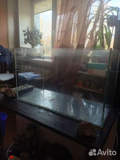 Аквариум