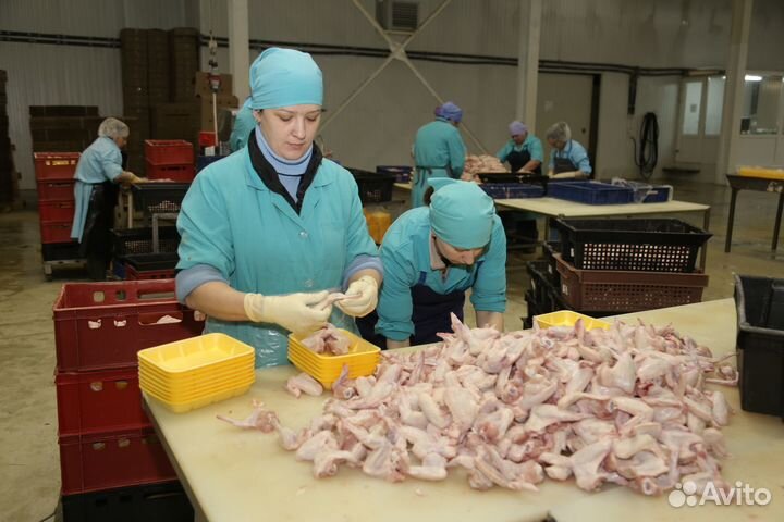 Упаковщик на птицефабрику Самарская область
