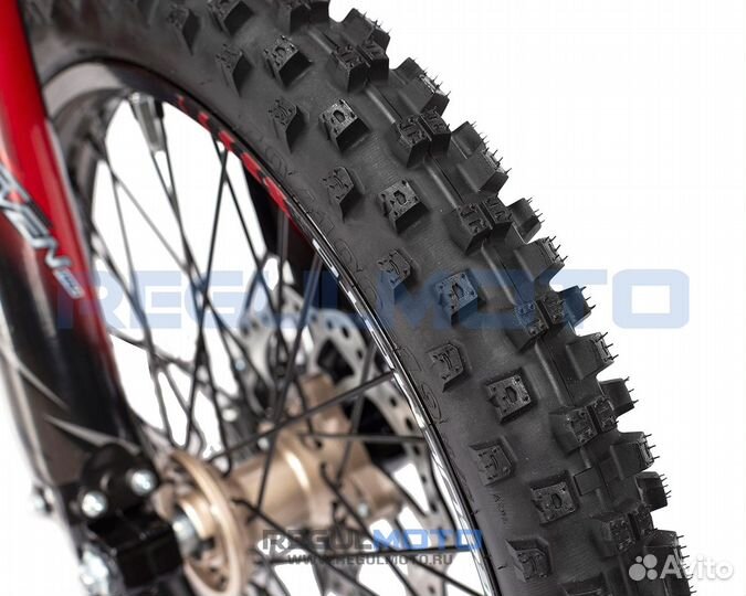 Regulmoto seven medalist PRO 19/16