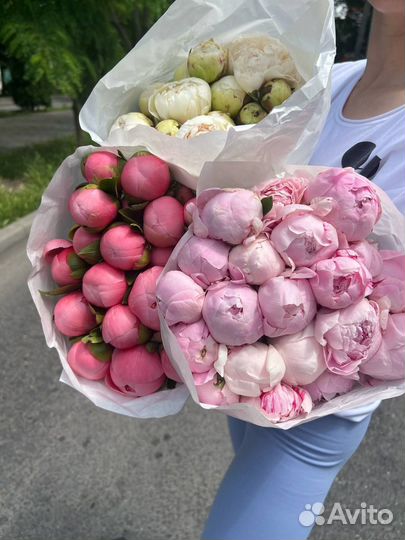 Пионы красивые доставка на день рождения маме