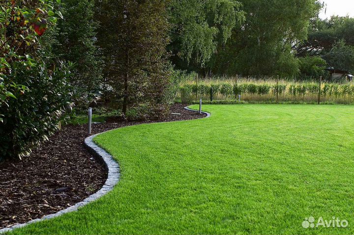 Рулонный газон, укладка, продажа