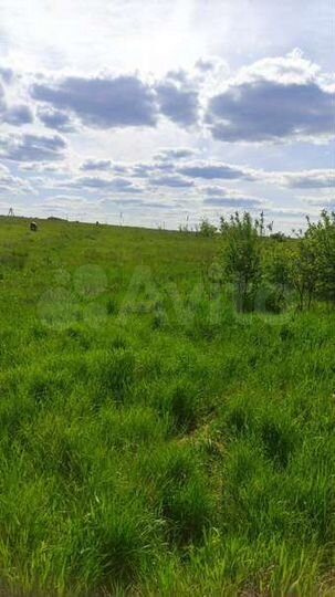 Участок 29 сот. (ИЖС)