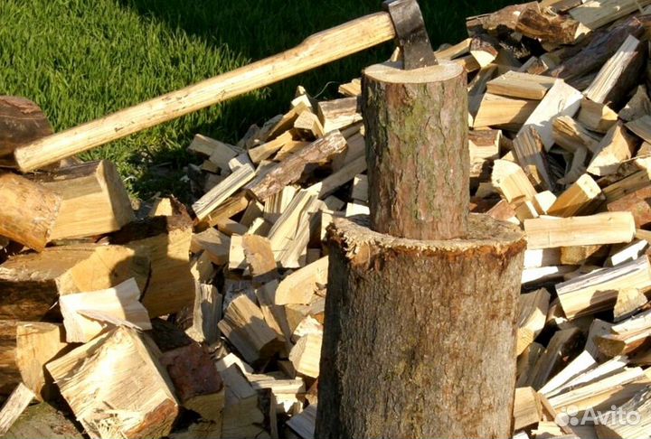 Дрова из леса