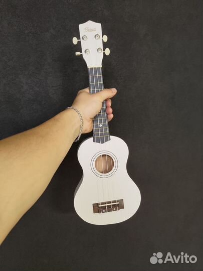 Укулеле сопрано, новое