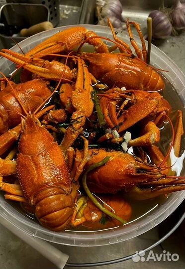 Раки высшей категории варка от профессионалов