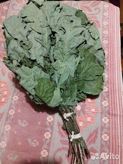 Веник для бани