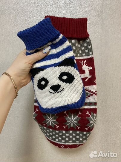 Одежда для животных